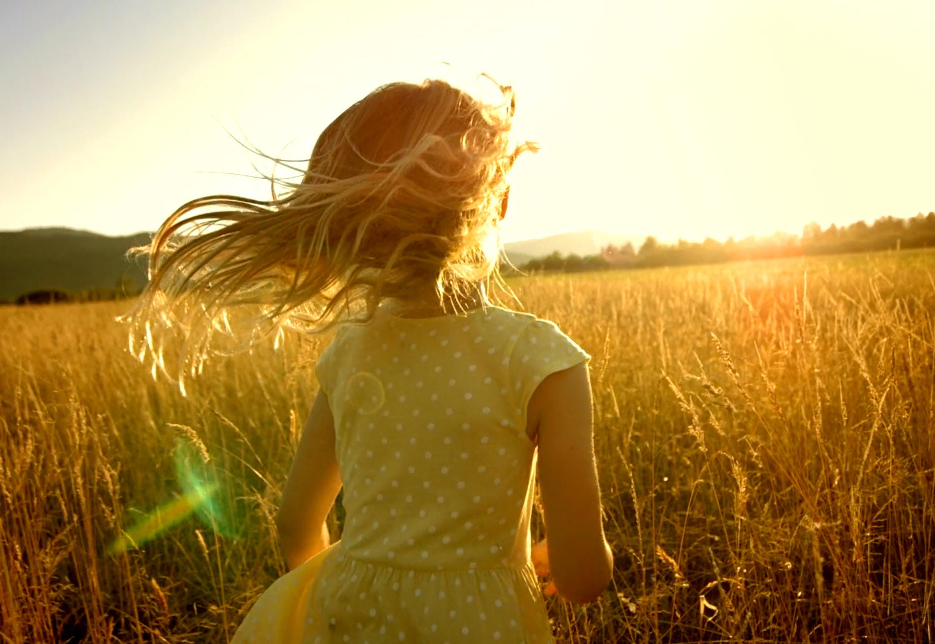 sustainability-solutions-photo